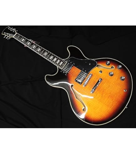 Amazon | Sire Larry Carlton H7 VS サイアー ラリーカールトン